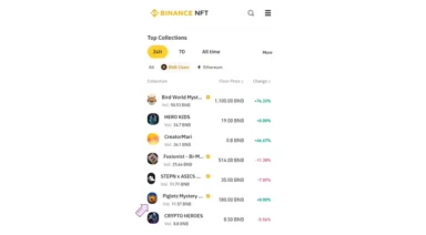 Pigletz reaches Top Collections on Binance!