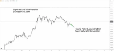 Celebrating 8 Years of BitcoinTAF: Market Insights, Elliott Wave Reports, and the Impact of Recent Events