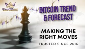 Long Term Trade Reports and Elliott Wave Theory