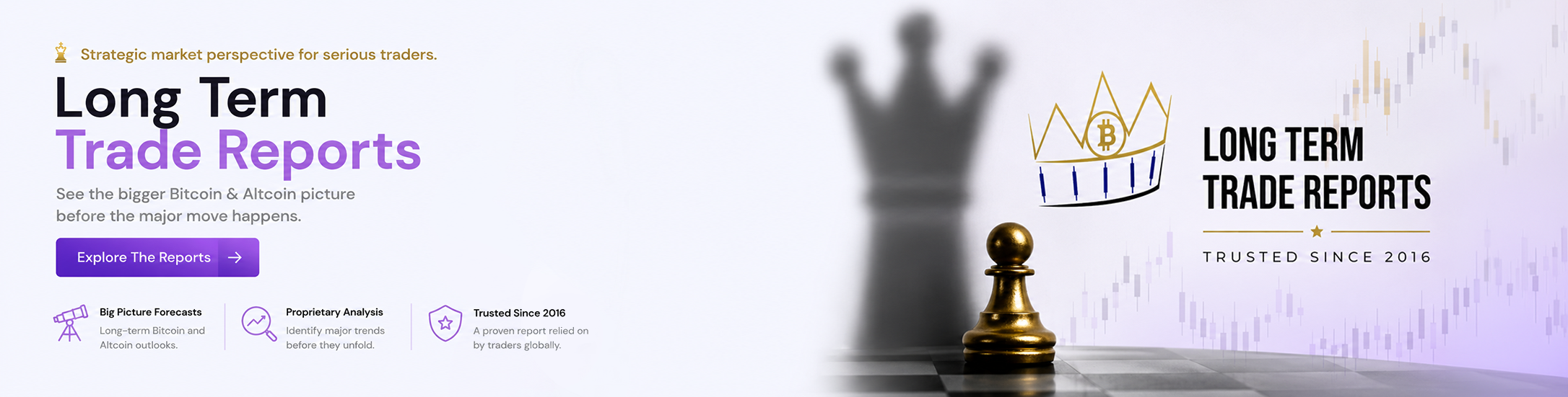 Long Term Trade Reports promotional banner